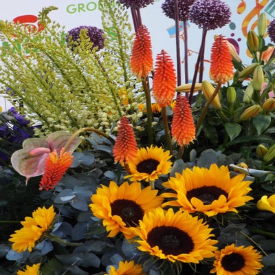 DSCF2643.jpg