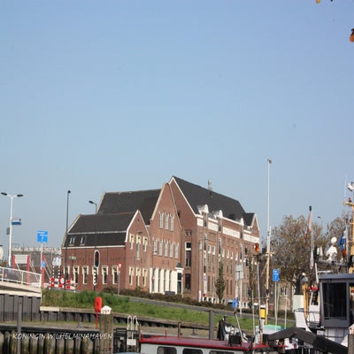 IMG_4850.jpg