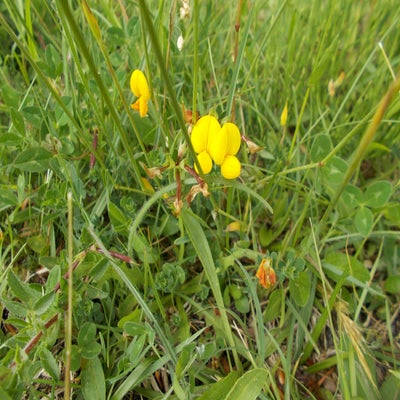 DSCN2060.jpg