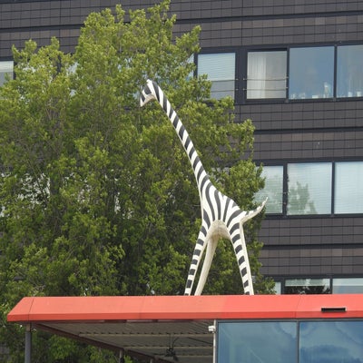 DSCN5808JPG.jpg
