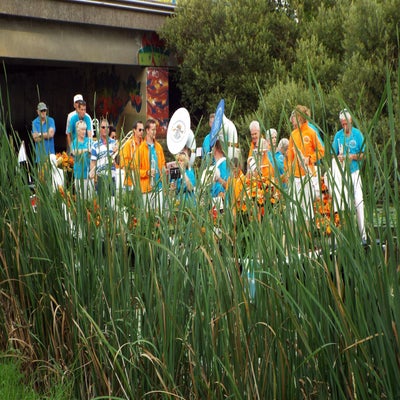 DSCF2567.jpg