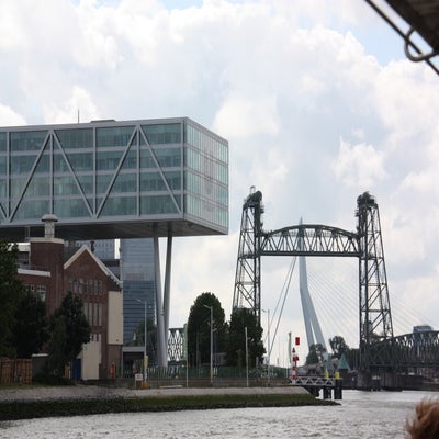 IMG_9154JPG.jpg