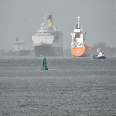 DSCN9697.jpg