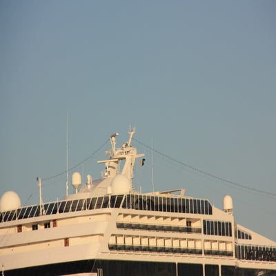 IMG_6934.jpg