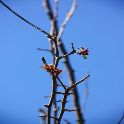 007IMG_3534.jpg