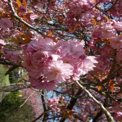 DSCN3090.jpg