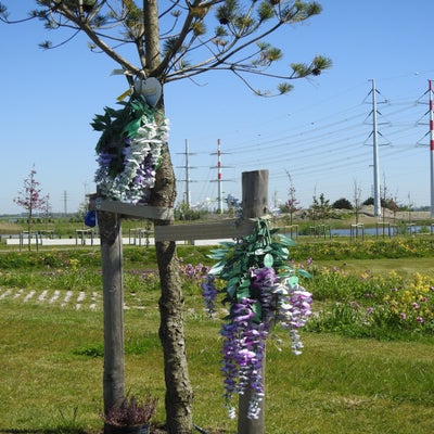 DSCN5216.jpg