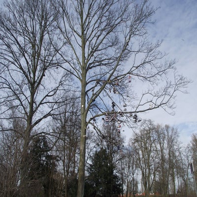 DSCF4799.jpg