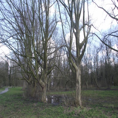 DSCF5138.jpg
