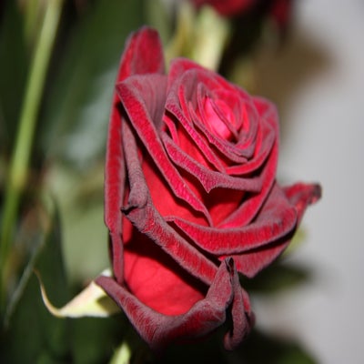 IMG_5829.jpg
