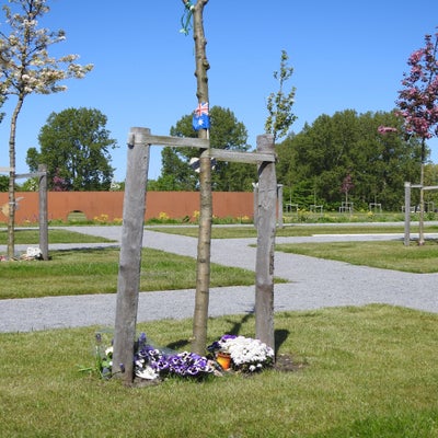 DSCN5197.jpg