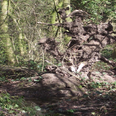 DSCF5168.jpg