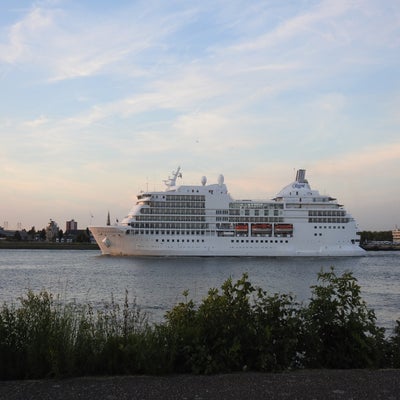 DSCN8316.jpg