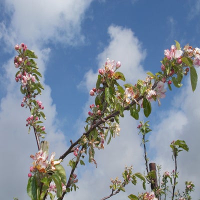 DSCN1644.jpg