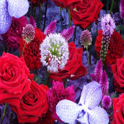 DSCF2626.jpg