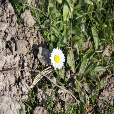 IMG_8714.jpg