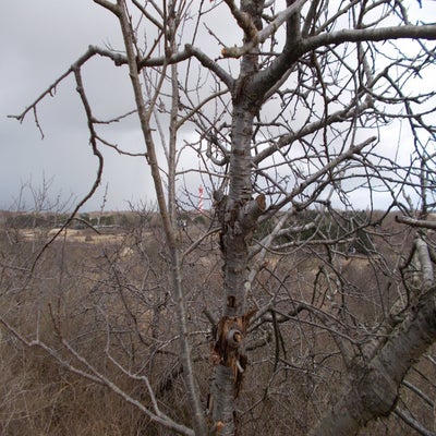 DSCN1121.jpg
