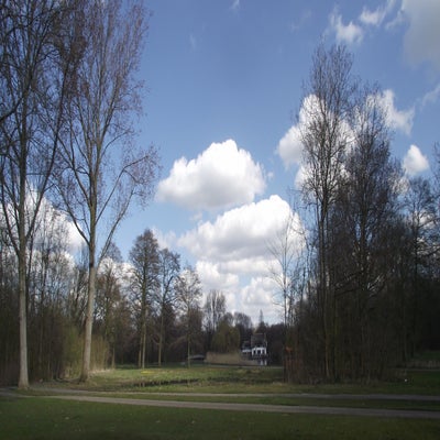 DSCF5143.jpg