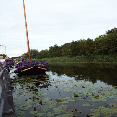 DSCF2590.jpg