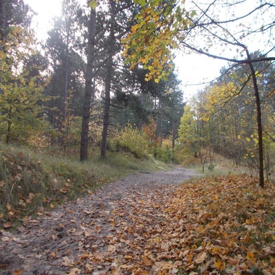 DSCN2536.jpg
