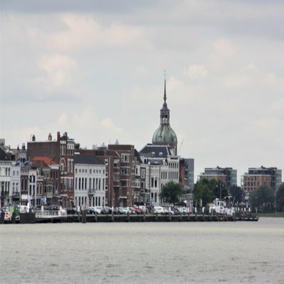 IMG_9101JPG.jpg
