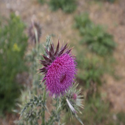 IMG_9576.jpg