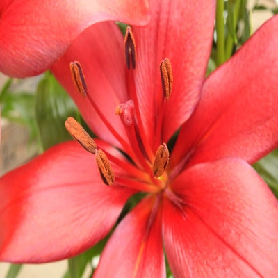 DSCN7799.jpg