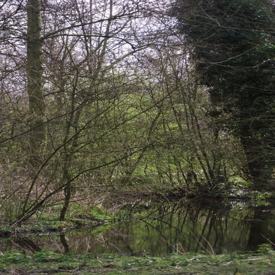 DSCF5226.jpg