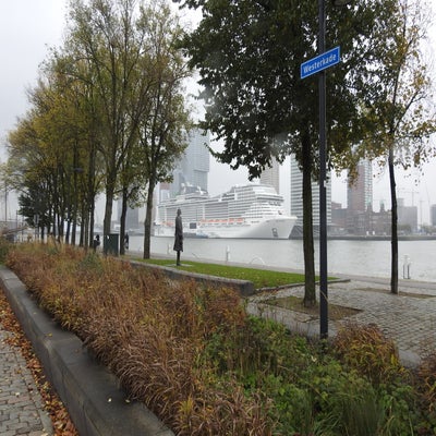DSCN9434.jpg