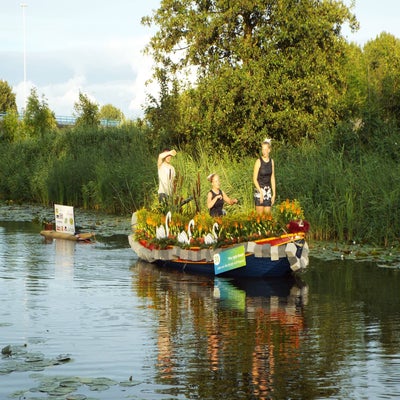 DSCF2559.jpg
