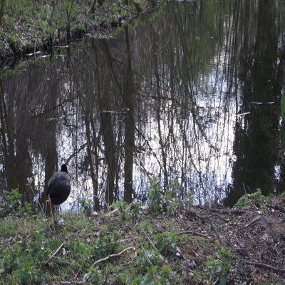 DSCF5147.jpg