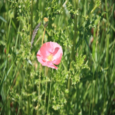 IMG_6569.jpg