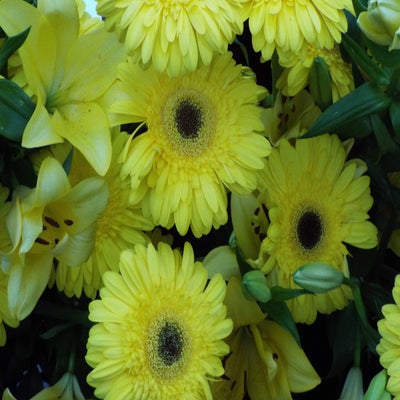 DSCF2667.jpg