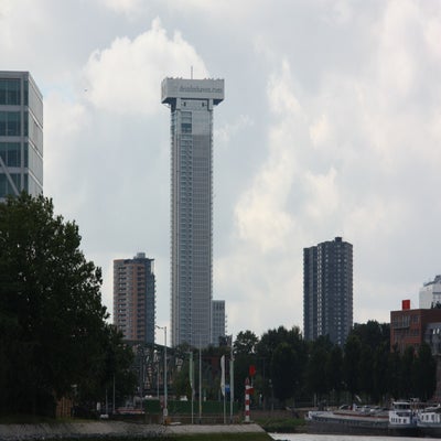 IMG_9149JPG.jpg
