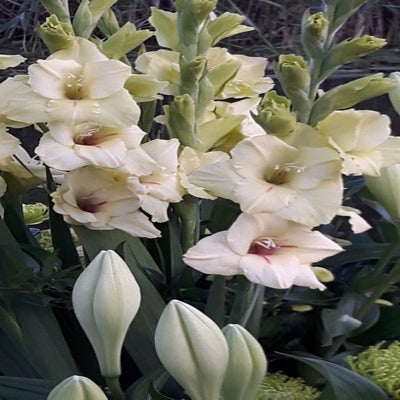 20160805_204140.jpg