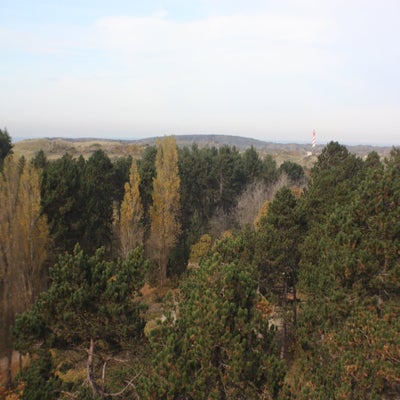 IMG_2676.jpg