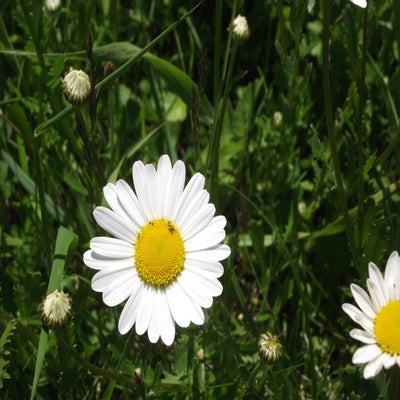 DSCF6644.jpg