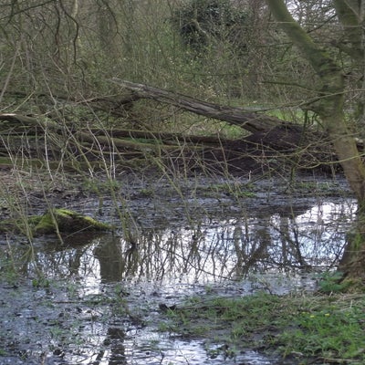 DSCF5149.jpg