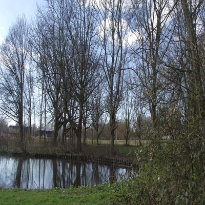 DSCF5231.jpg