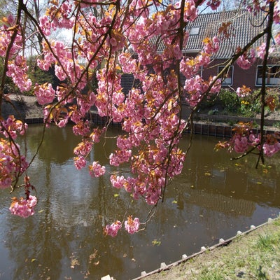 DSCN3093.jpg
