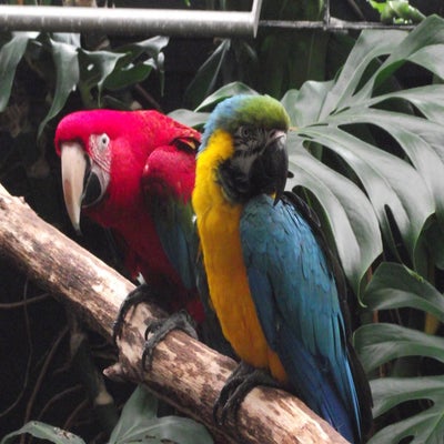 DSCF8645.jpg