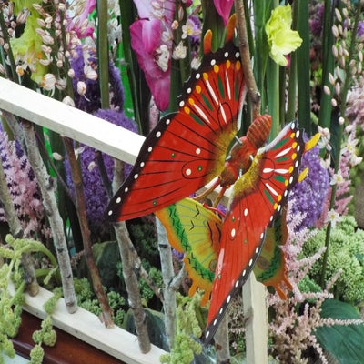 DSCF2655.jpg