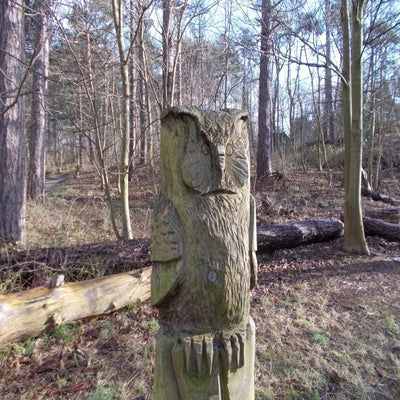 DSCN1108.jpg