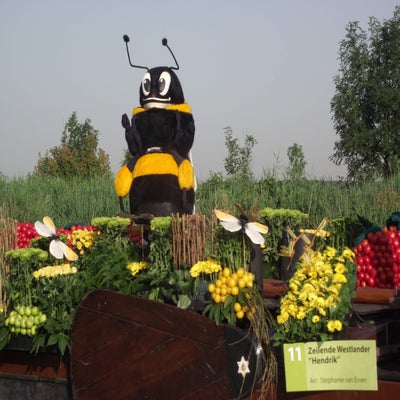 VarendCorso2013040.jpg
