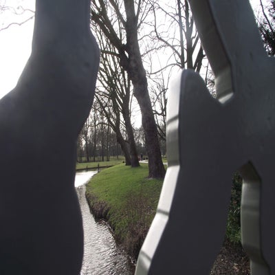 DSCF4810.jpg