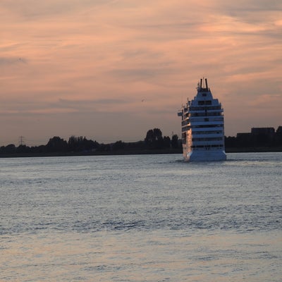 DSCN8335.jpg