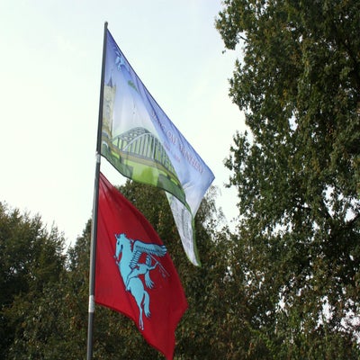 IMG_6673.jpg
