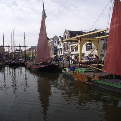 DSCF8140.jpg