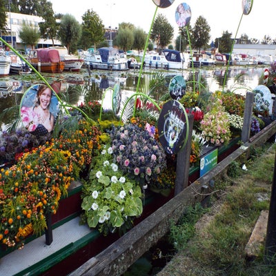 DSCF2632.jpg