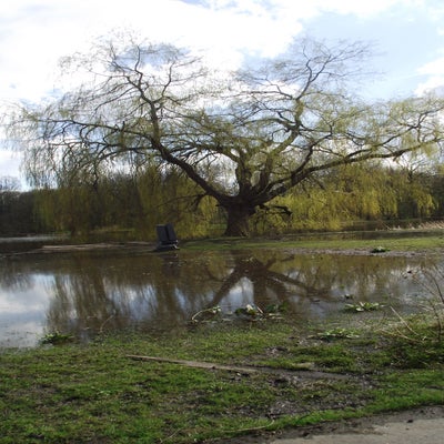 DSCF5213.jpg